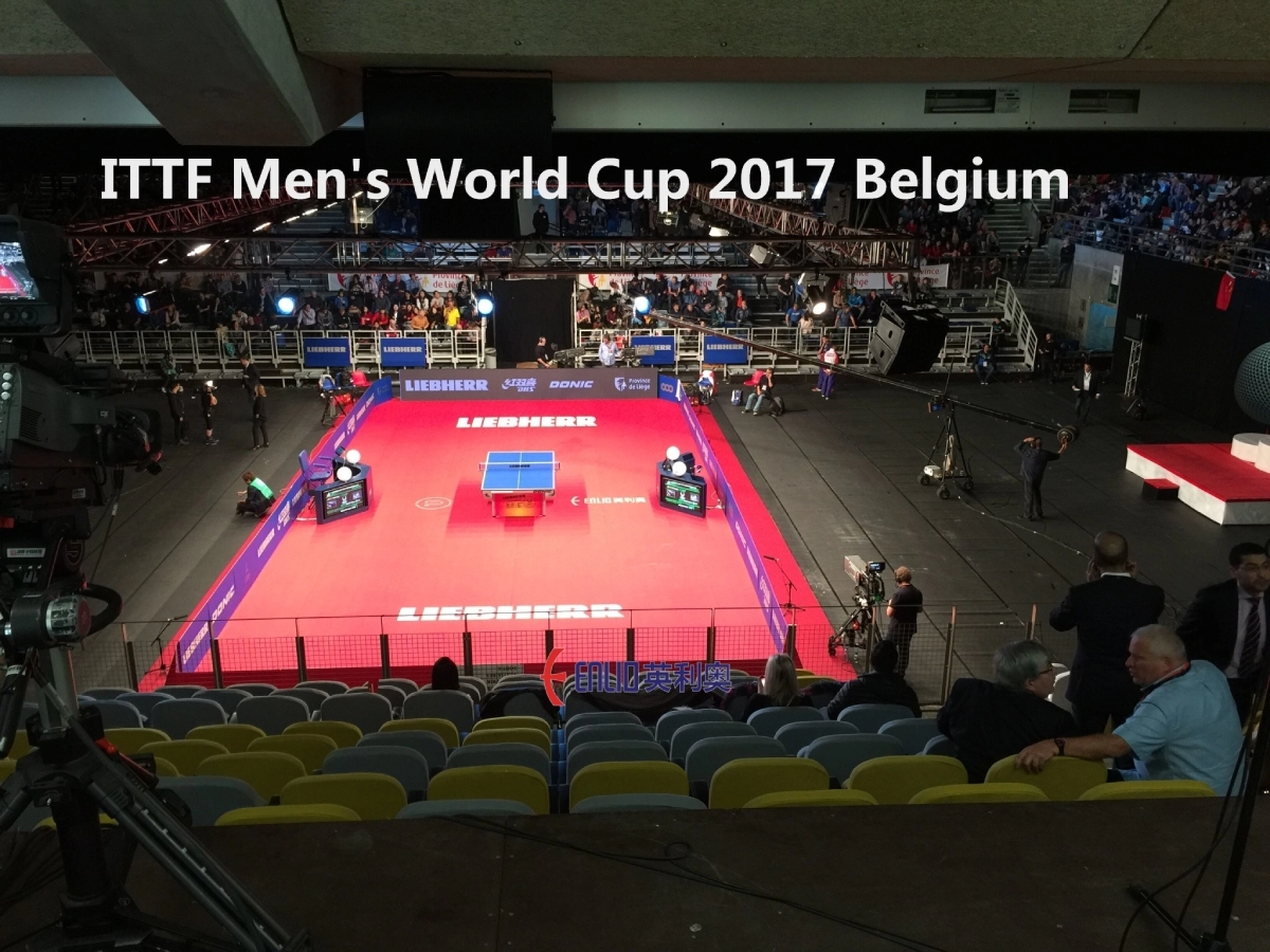 Kích thước sân thi đấu bóng bàn